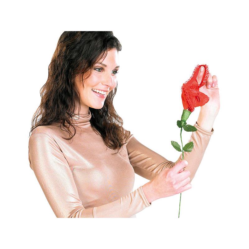Πρωτότυπο καυτό σουτιέν τριαντάφυλλο