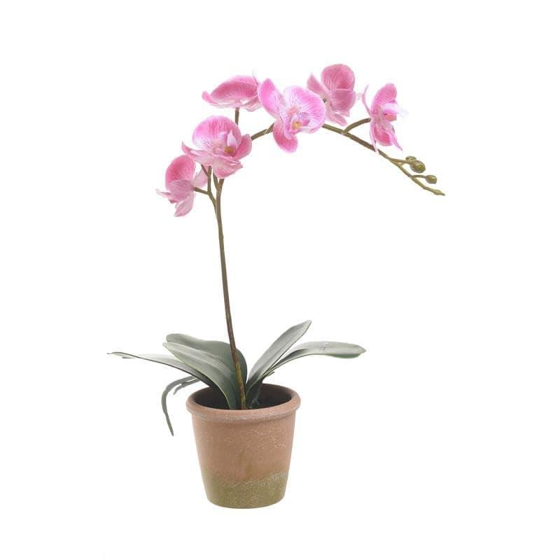 Λουλούδι Σε Γλάστρα Ροζ Υ33cm 3-85-246-0198