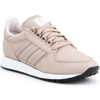 Xαμηλά Sneakers adidas Adidas Forest Grove EE8967