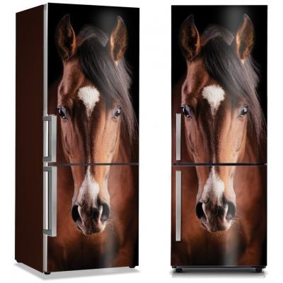 Καφέ άλογο Διάφορα Αυτοκόλλητα ψυγείου 50 x 85 εκ.