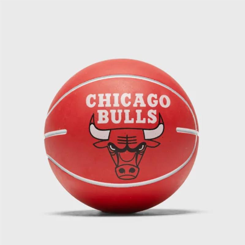 Wilson NBA Chicago Bulls Mini Μπάλα (9000101932_1634)