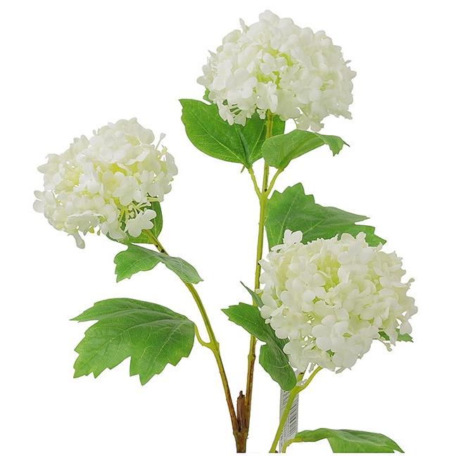 Λευκά Snowball x3 άνθη