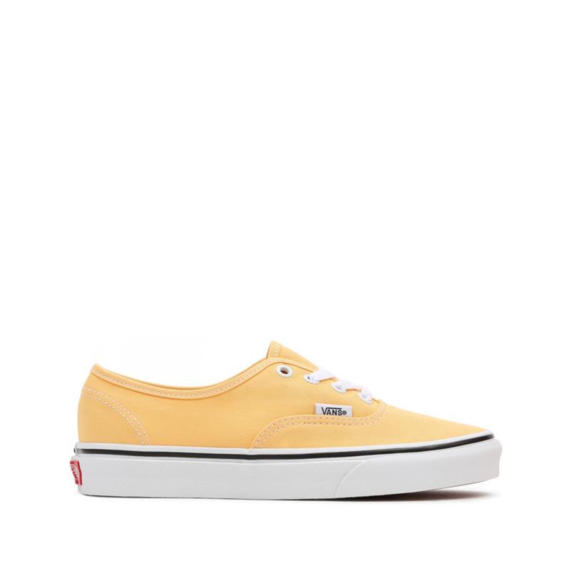Skate Παπούτσια Vans Authentic