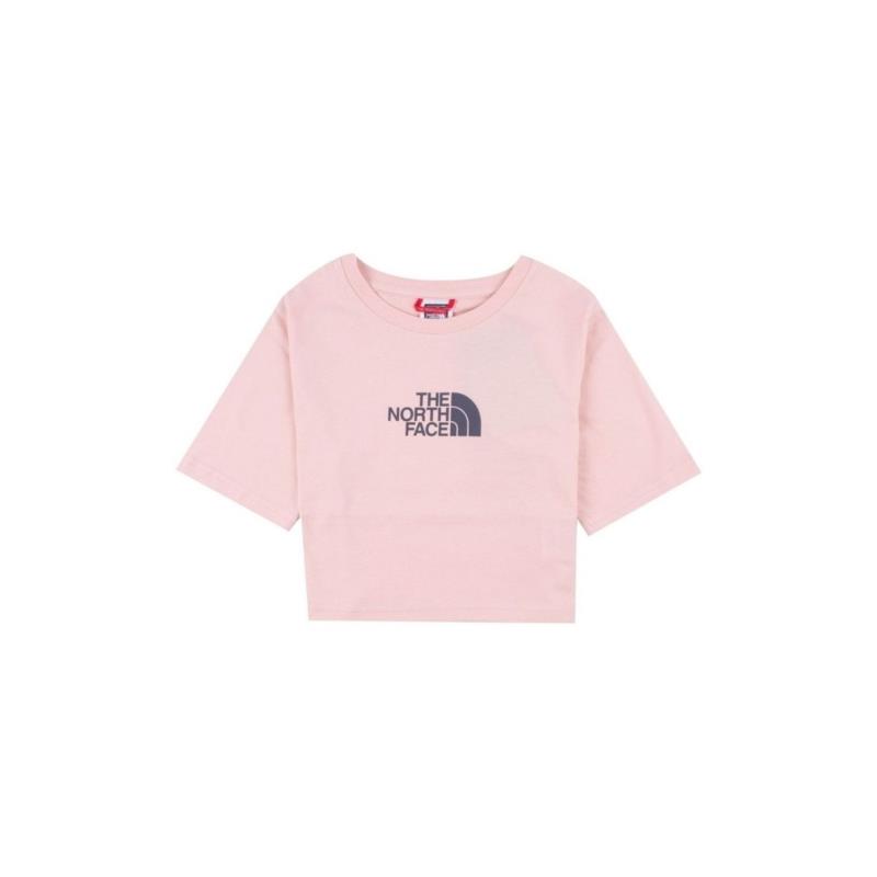 T-shirts & Polos The North Face GHYE_ BNHGG SS CROPPED GRAPHIC TEE