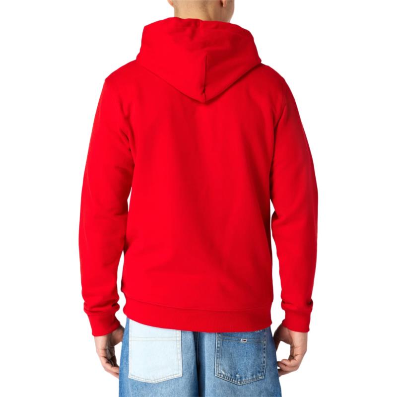 TOMMY JEANS ESSENTIAL GRAPHIC REGULAR FIT HOODIE MEN