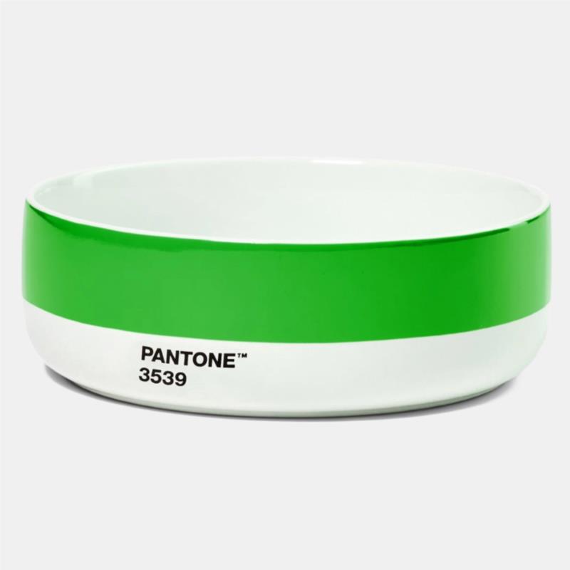 Pantone Κεραμικό Μπολ (9000165467_3565)