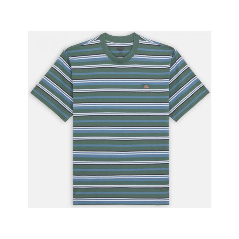 T-shirts & Polos Dickies Glade spring tee ss
