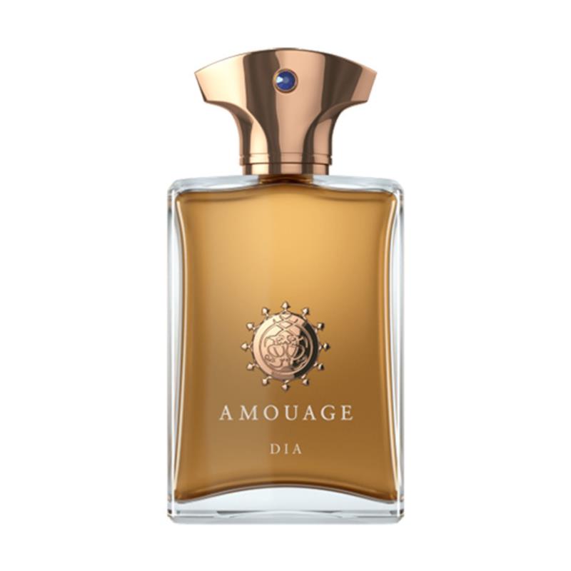 AMOUAGE DIA MAN EAU DE PARFUM | 100ml