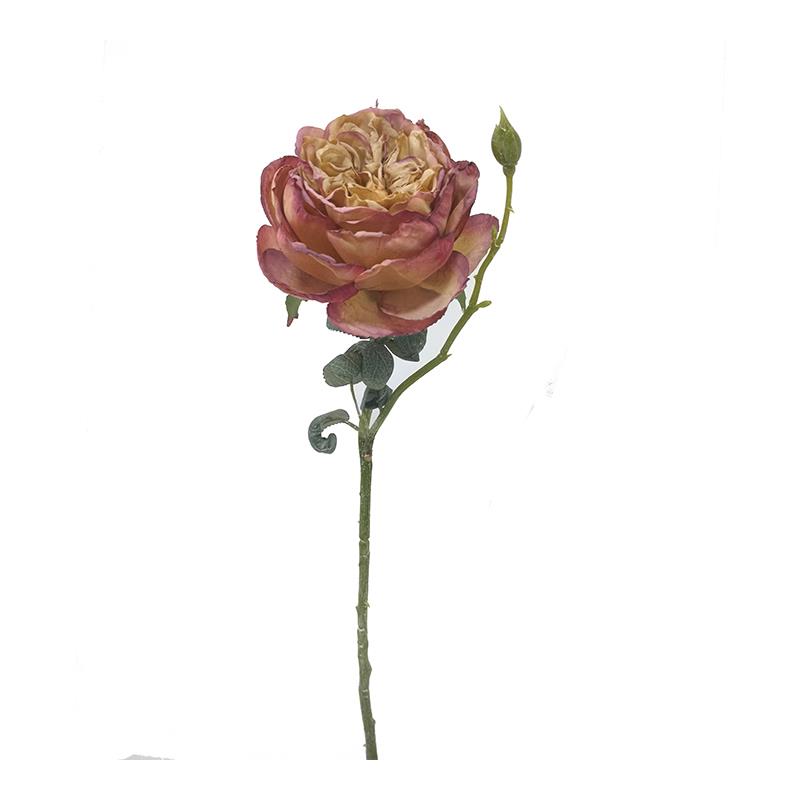 Zaros Τριαντάφυλλο Elisabeth σε Χρώμα Καμμένου Μήλου 44cm AX823