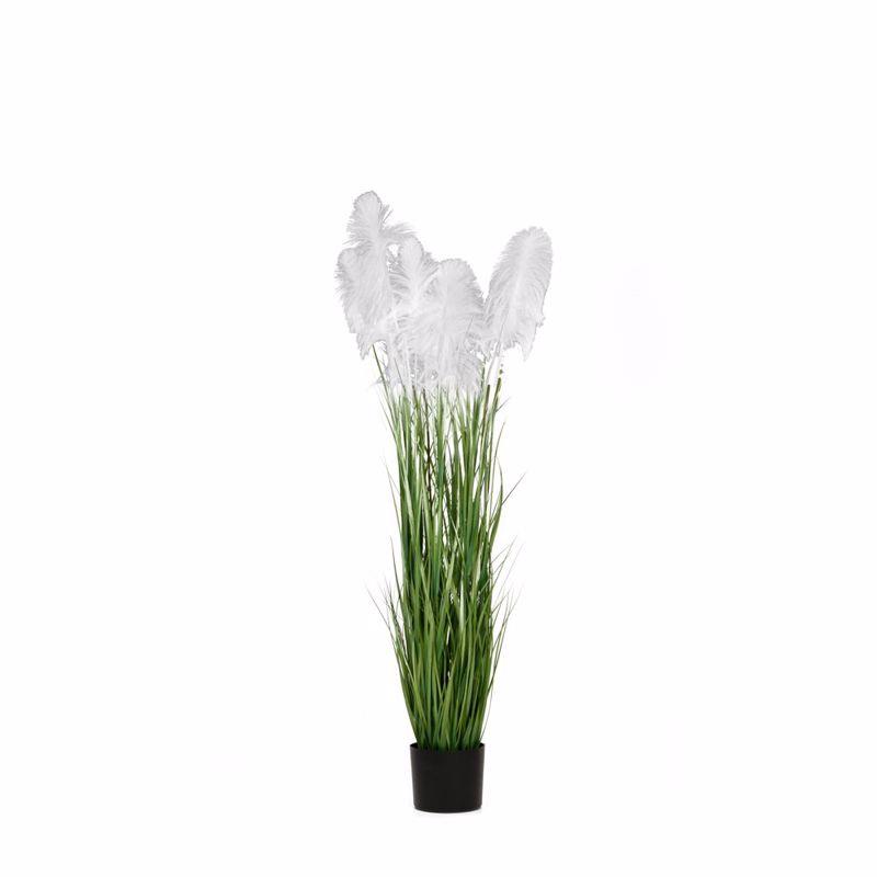Iliadis Φυτό Pampas Grass Λευκό Φ20x180cm σε Μαύρη Πλαστική Γλάστρα 85074