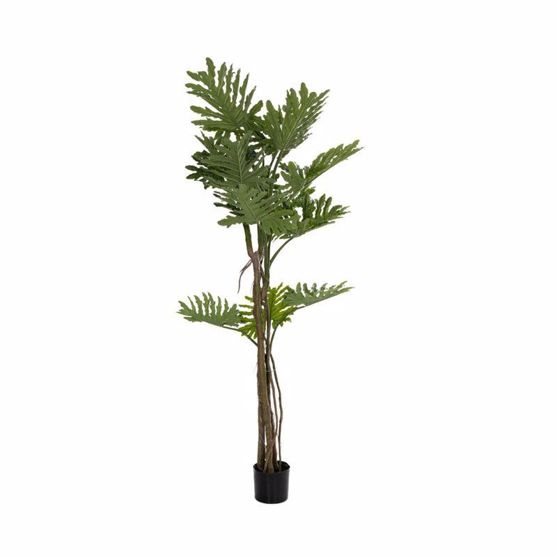 Iliadis Φυτό Φιλόδεντρο σε Μαύρη Πλαστική Γλάστρα 190cm 85115