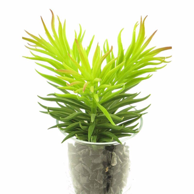 Supergreens Τεχνητό Φυτό Παχύφυτο Πράσινο 17cm 1570-6