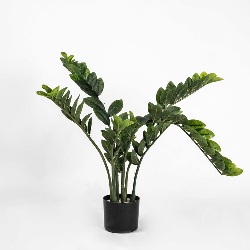 Supergreens Τεχνητό Φυτό Ζάμια 80cm 5450-6