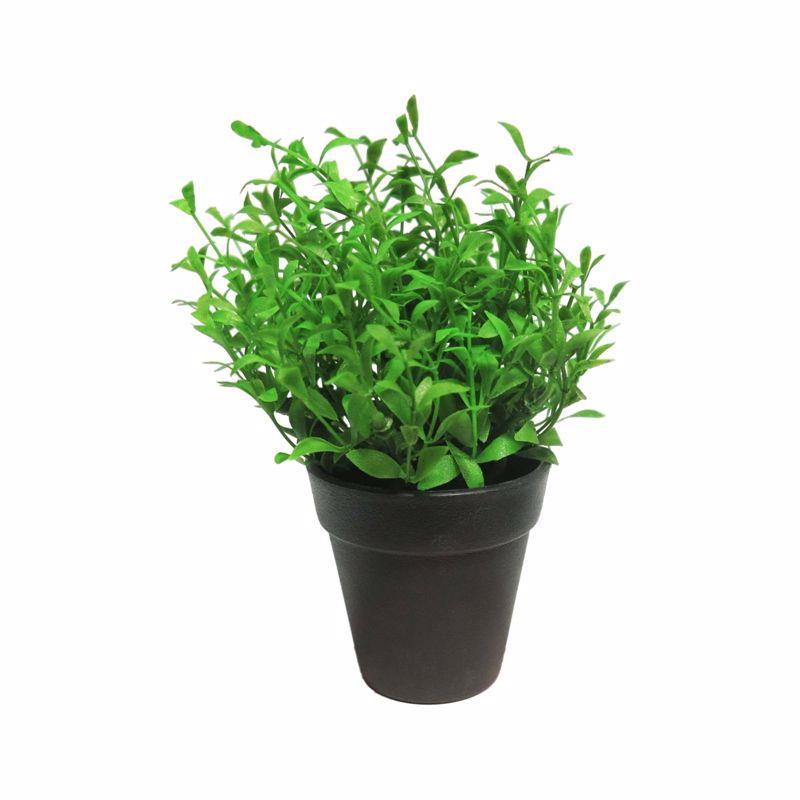 Supergreens Τεχνητό Φυτό Αρωματικό 17cm 9650-6