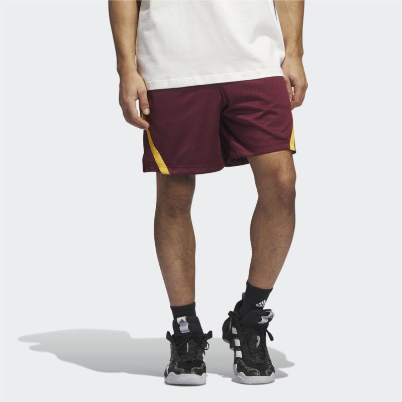 adidas Select Summer Shorts (9000155429_65923)