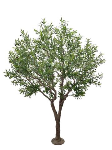 Olive Tree Np496_240_Uv Υψος 240Cm Newplan