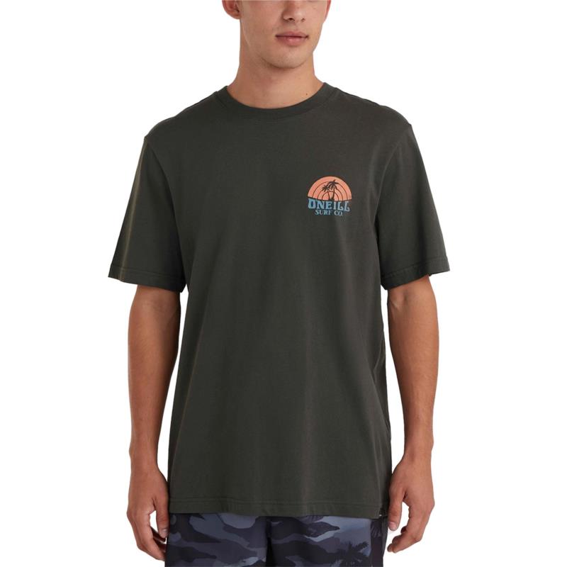 O'Neill Beach Graphic Men's T-Shirt