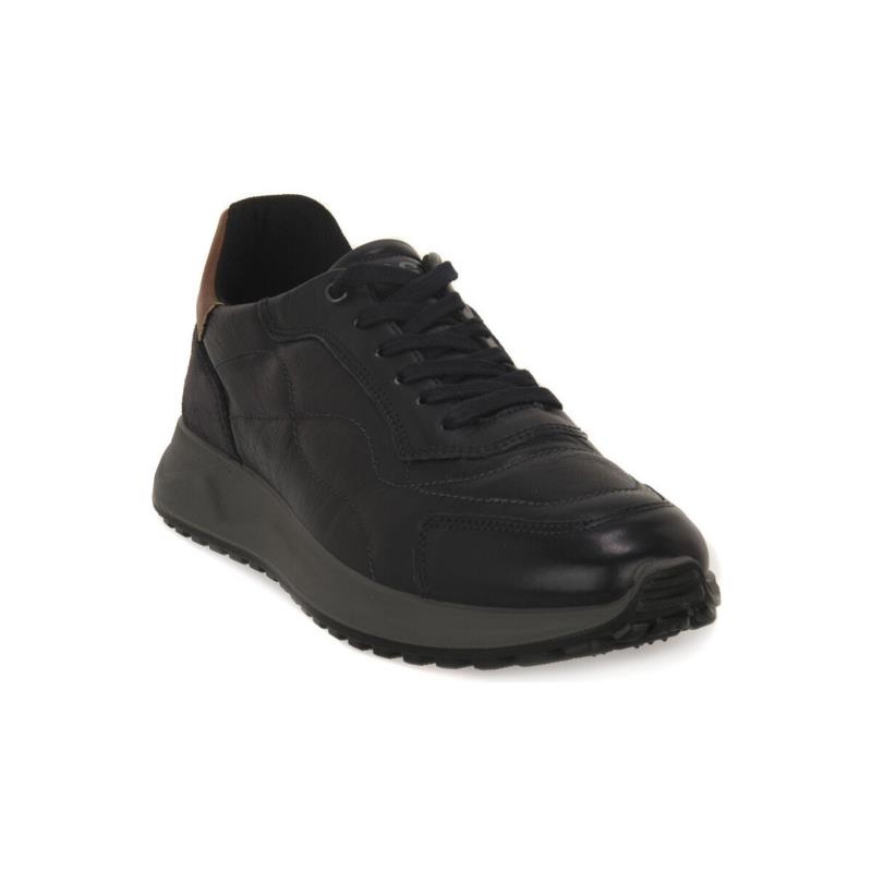 Sneakers IgI&CO SARONNO NOTTE
