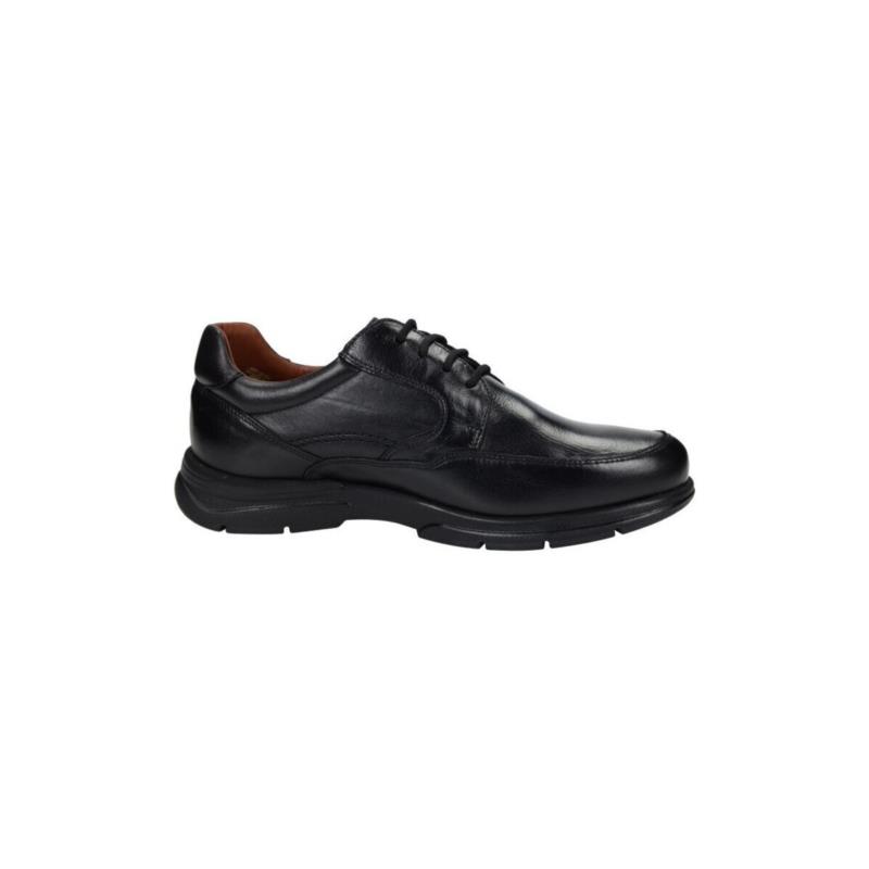 Oxfords Baerchi -