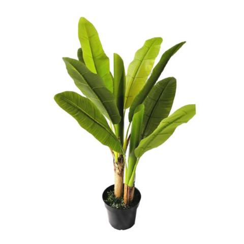 Διακοσμητικό Φυτό Banana Tree Np014_120_22 Ύψος 120Cm Newplan