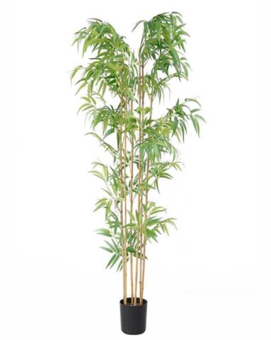 Διακοσμητικό Φυτό Bamboo Np5801_180_22_Uv Ύψος 180Cm Newplan