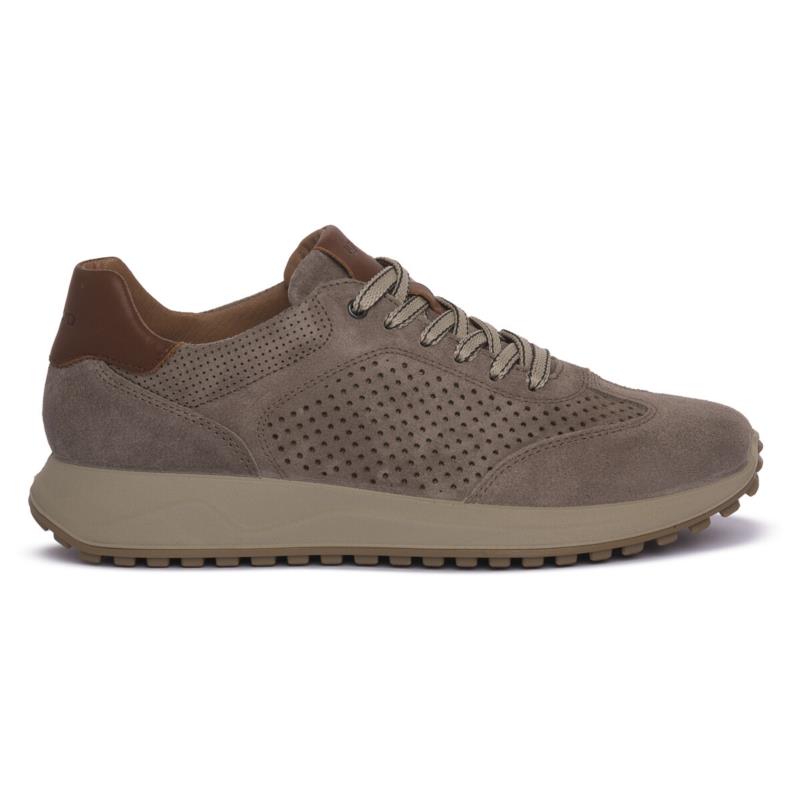 Sneakers IgI&CO SARONNO