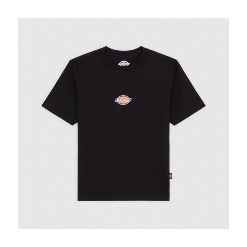 T-shirts & Polos Dickies MAPLE VALLEY REG TEE