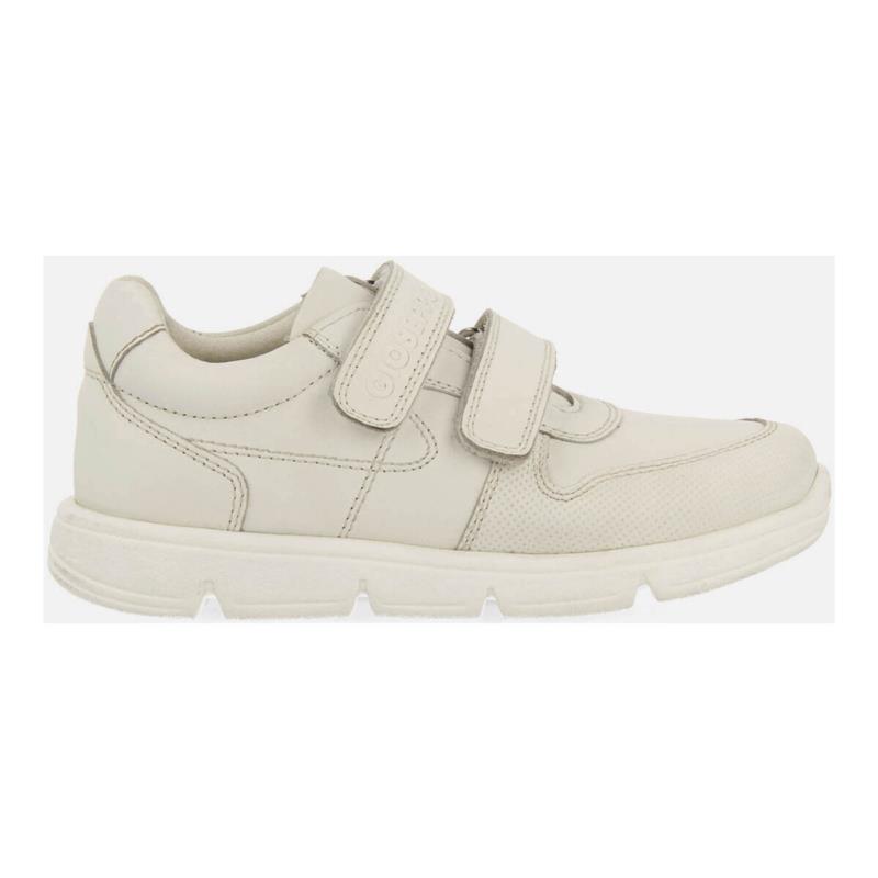 Sneakers Gioseppo MARVEDE