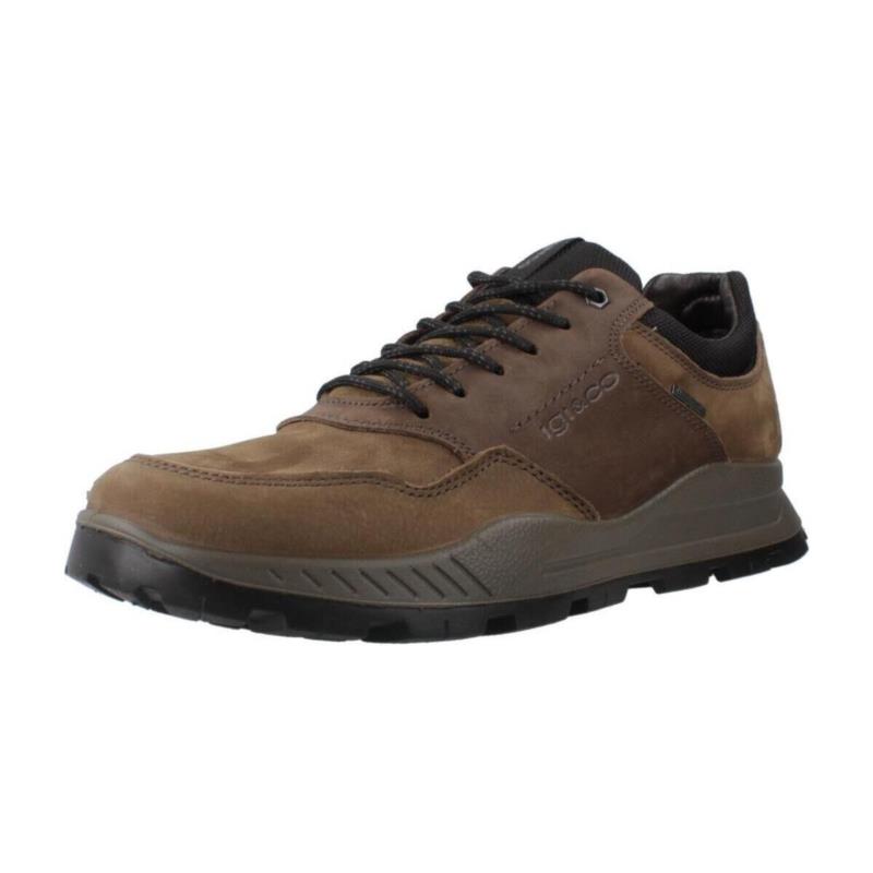 Derbies IgI&CO 6629811IG