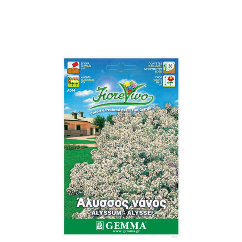 Σπόροι Φάκελα Άλυσσος Λευκό Hortus A044