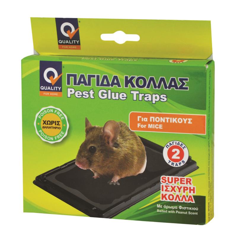 Παγίδα Κόλλας Quality Μεσαία Για Ποντίκια